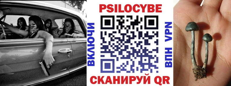 где купить наркоту Галич Галлюциногенные грибы прущие грибы